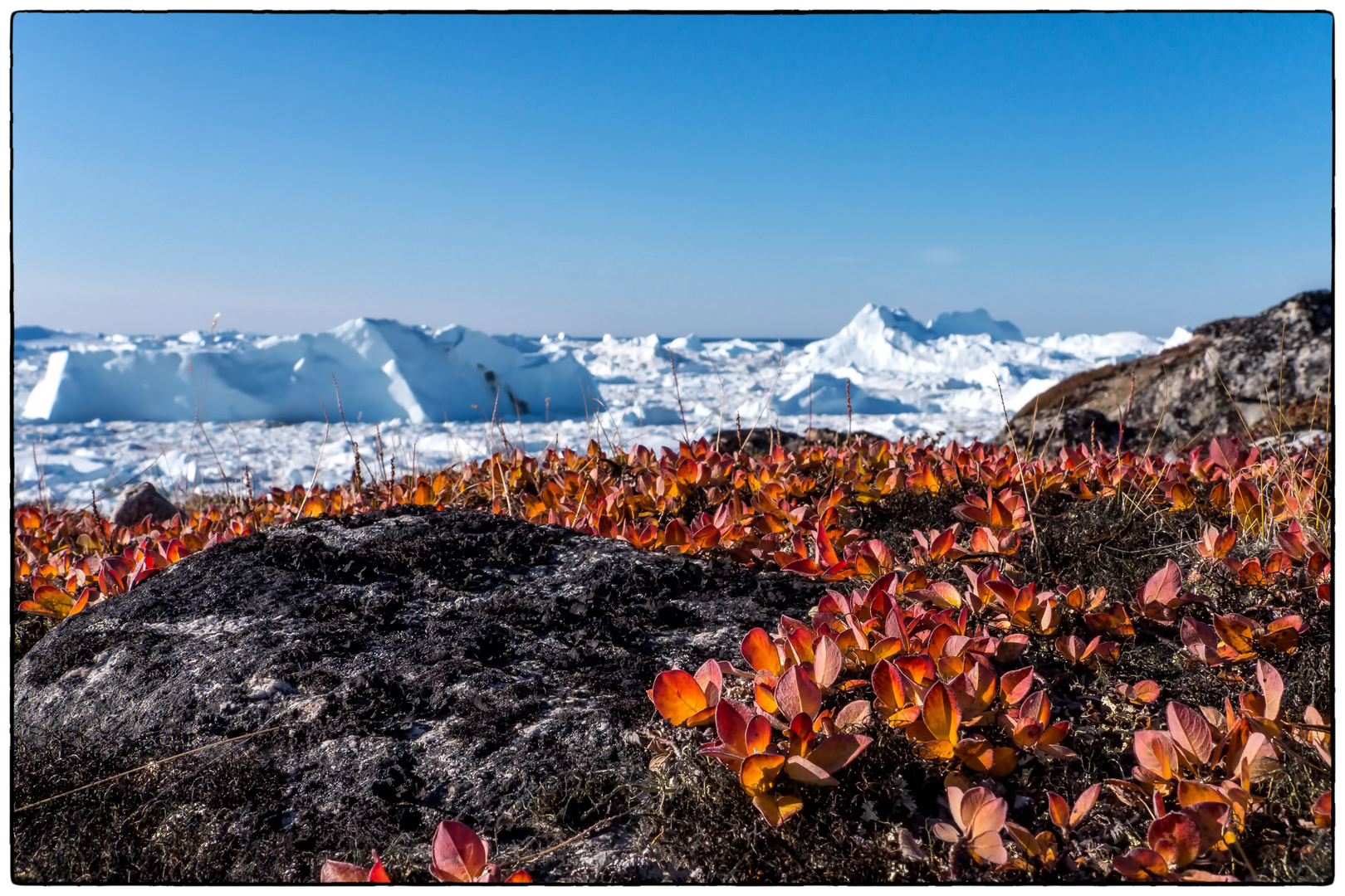 Herbst in Grönland