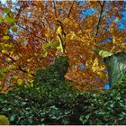 Herbst in Großkochberg 1