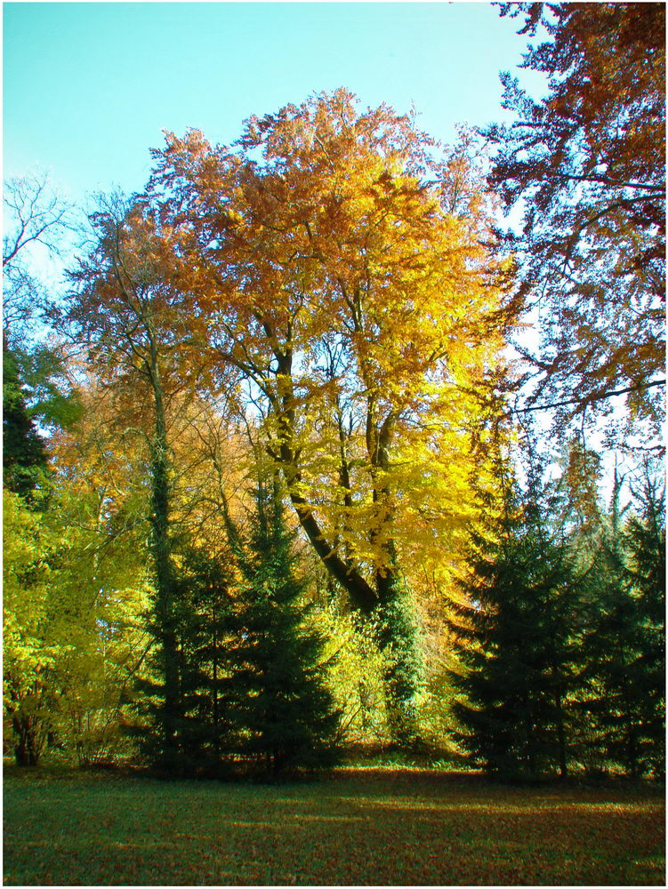 Herbst in Großkochberg 3