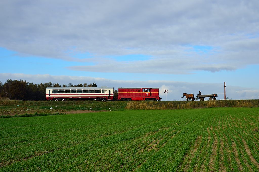 Herbst in Großpolen