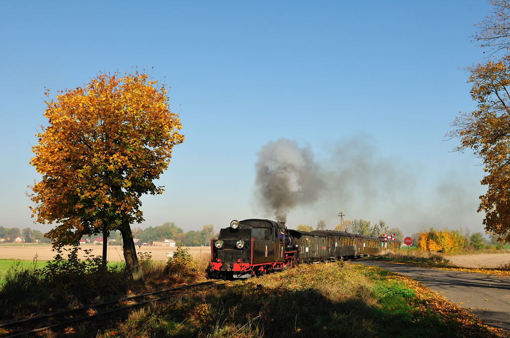 Herbst in Großpolen