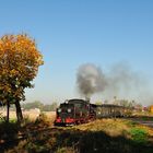 Herbst in Großpolen