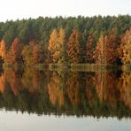 Herbst in Hachemühle