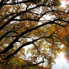 Herbst in Halle