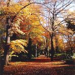 Herbst in Halle