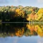 Herbst in Halle