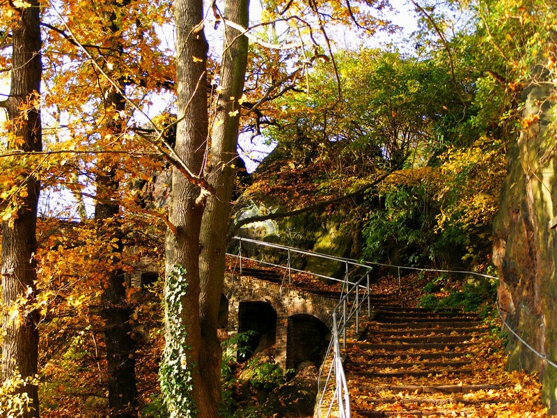 Herbst in Halle Saale 4