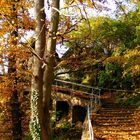 Herbst in Halle Saale 4