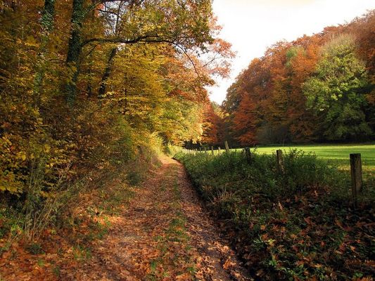 Herbst in Halle/Westf.