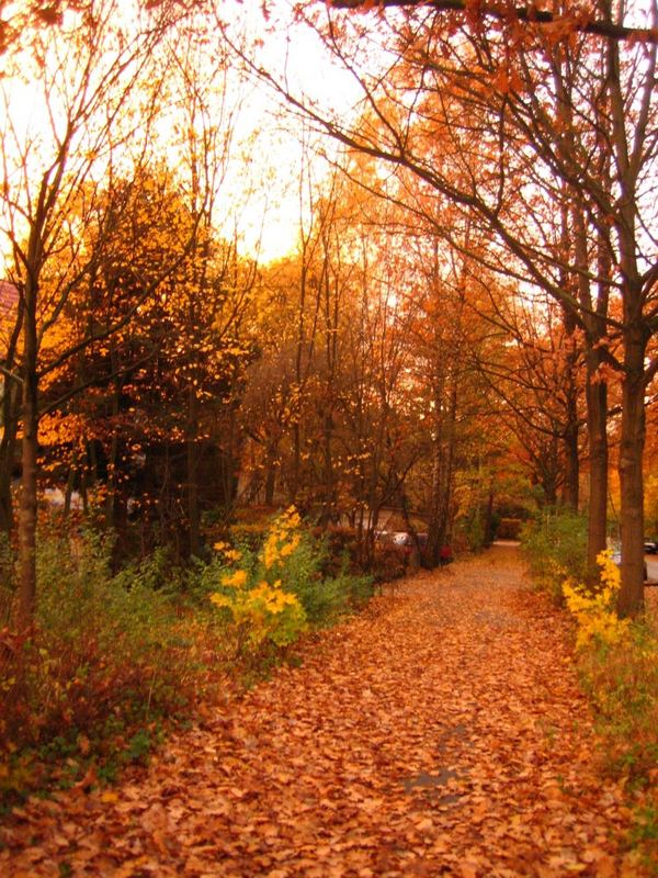 herbst in hamburg