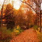 herbst in hamburg