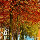 Herbst in Hamburg