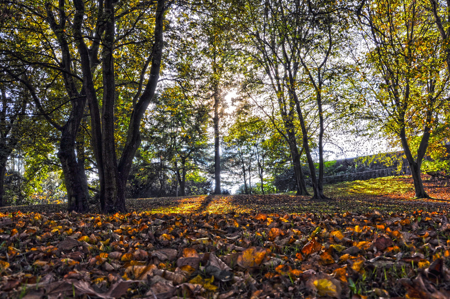 Herbst in Hamburg