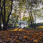 Herbst in Hamburg