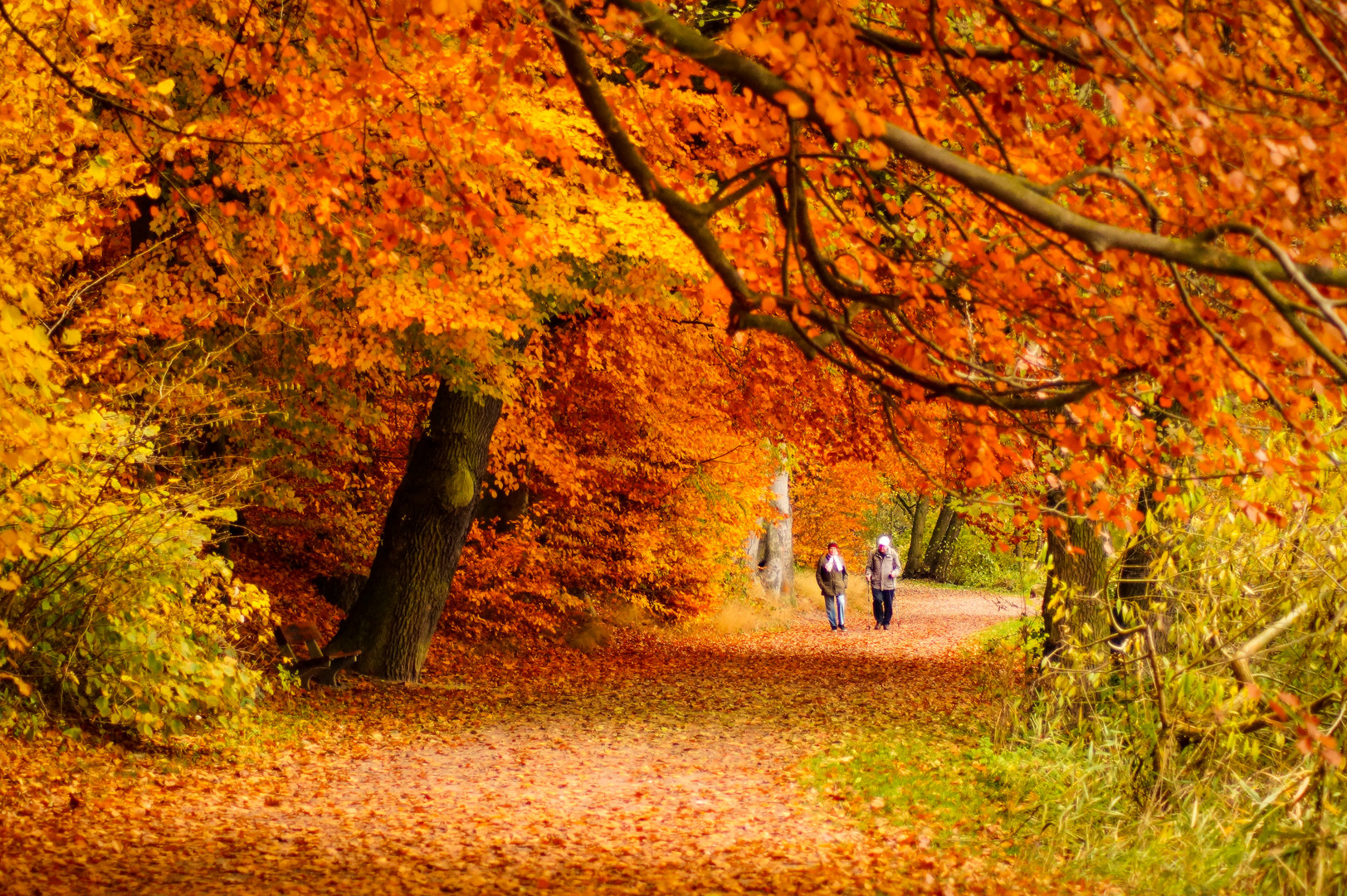 Herbst in Hamburg