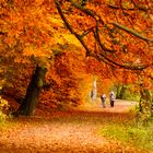 Herbst in Hamburg