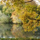 Herbst in Hamburg