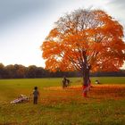 Herbst in Hamburg