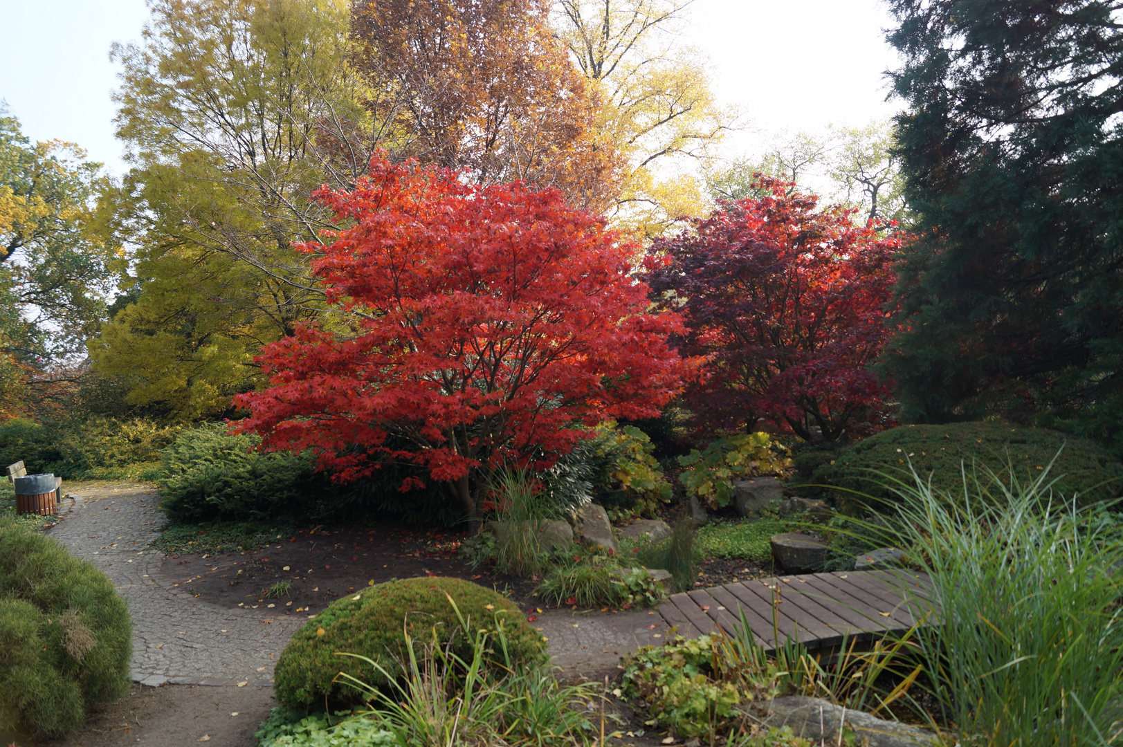 Herbst in Hamburg