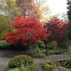 Herbst in Hamburg