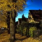 Herbst in Hamburg Farmsen-Berne