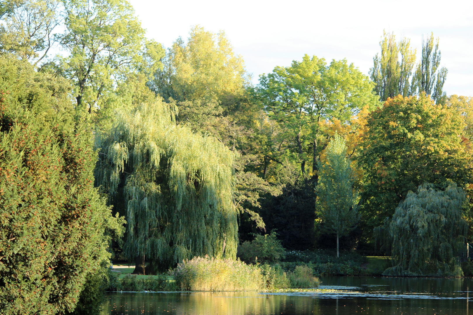 Herbst in Hannover