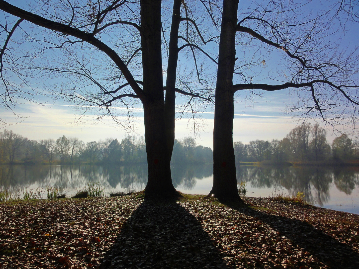 Herbst in Hannover