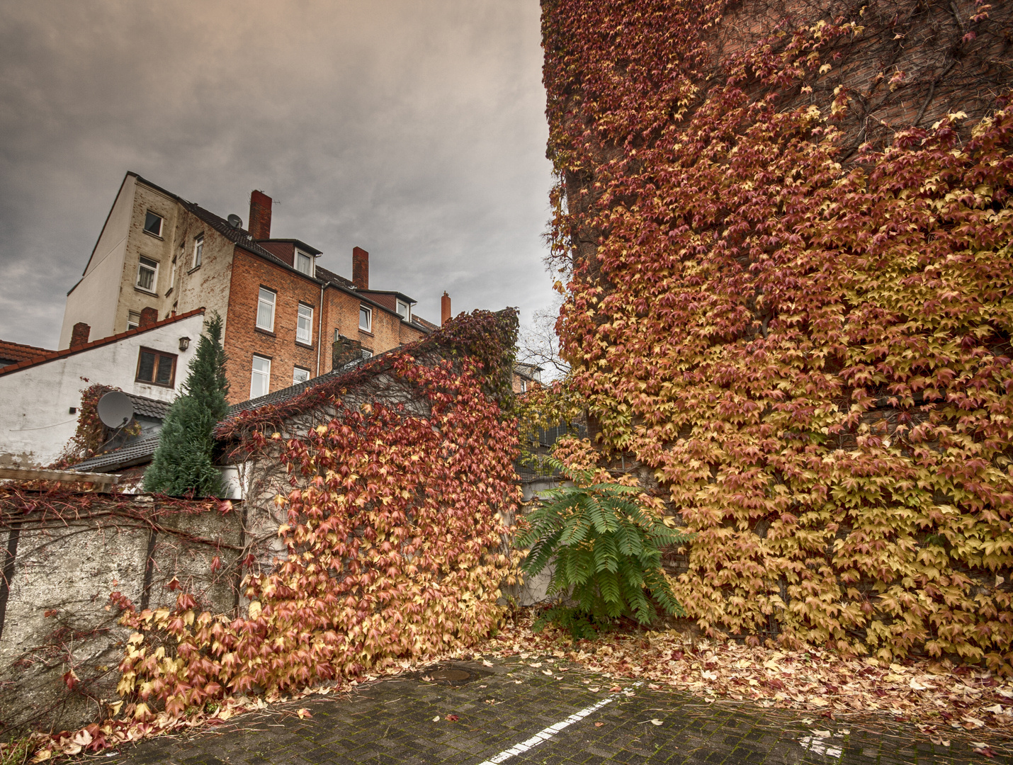 Herbst in Hannover-Linden