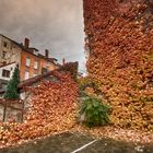 Herbst in Hannover-Linden