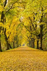 Herbst in Hannover_1