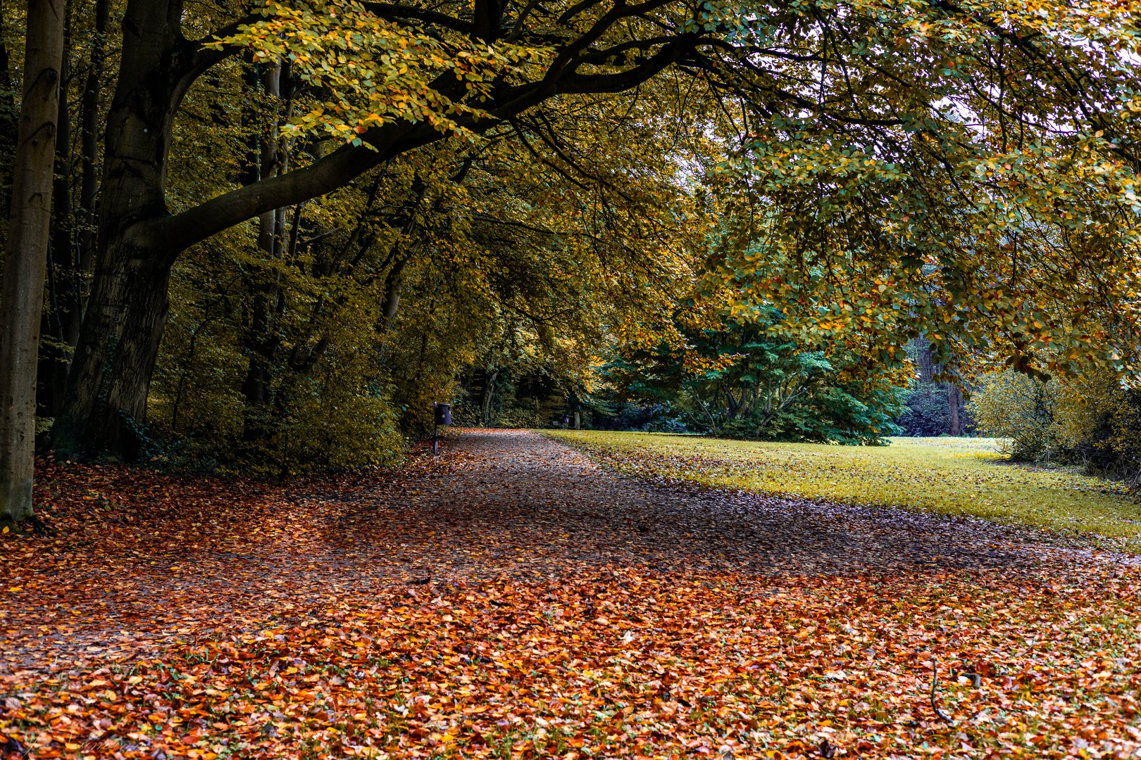 Herbst in Harsefeld