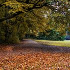 Herbst in Harsefeld