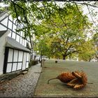 Herbst in Hattingen