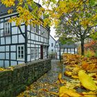 Herbst in Hattingen