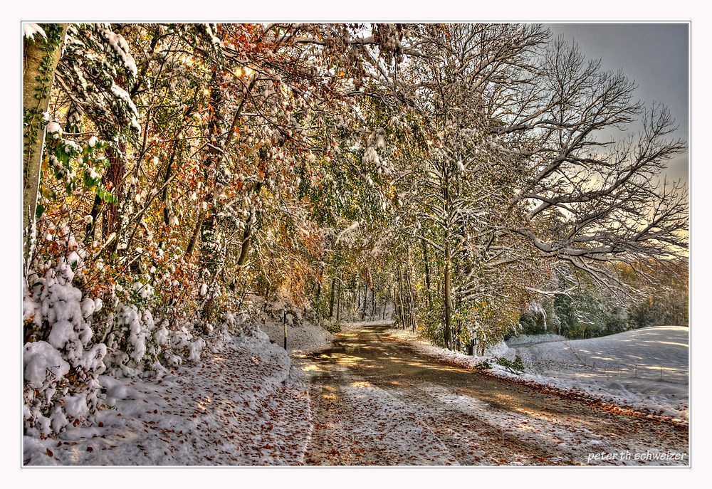 Herbst in HDR