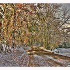 Herbst in HDR