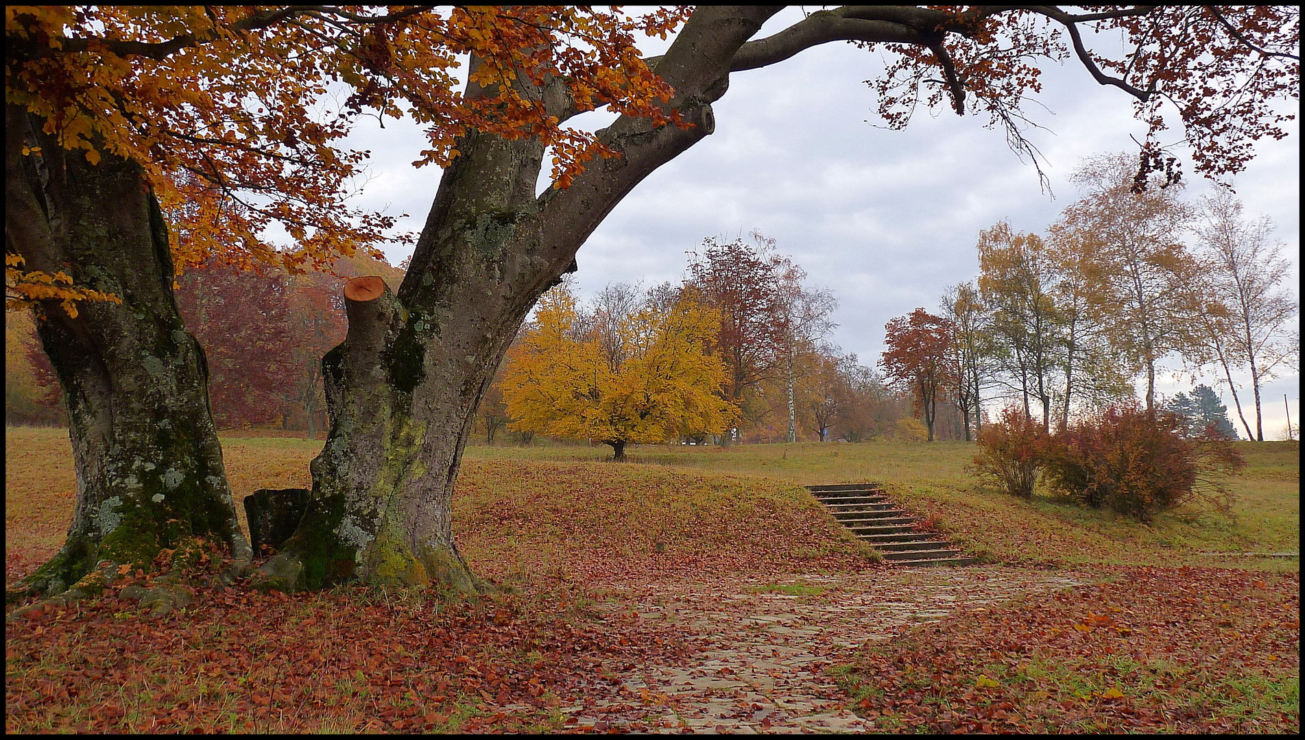 Herbst in Heidenheim