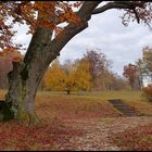 Herbst in Heidenheim