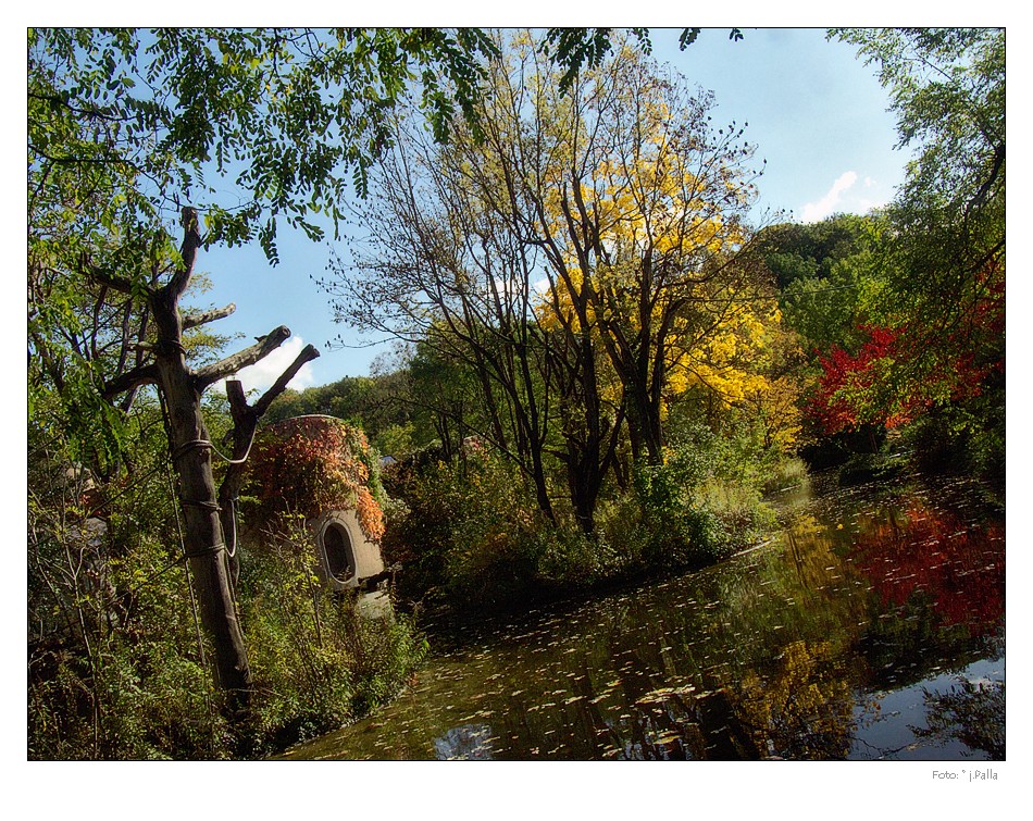 Herbst in Hellabrunn