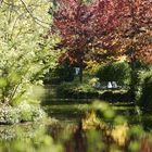 Herbst in Hellabrunn