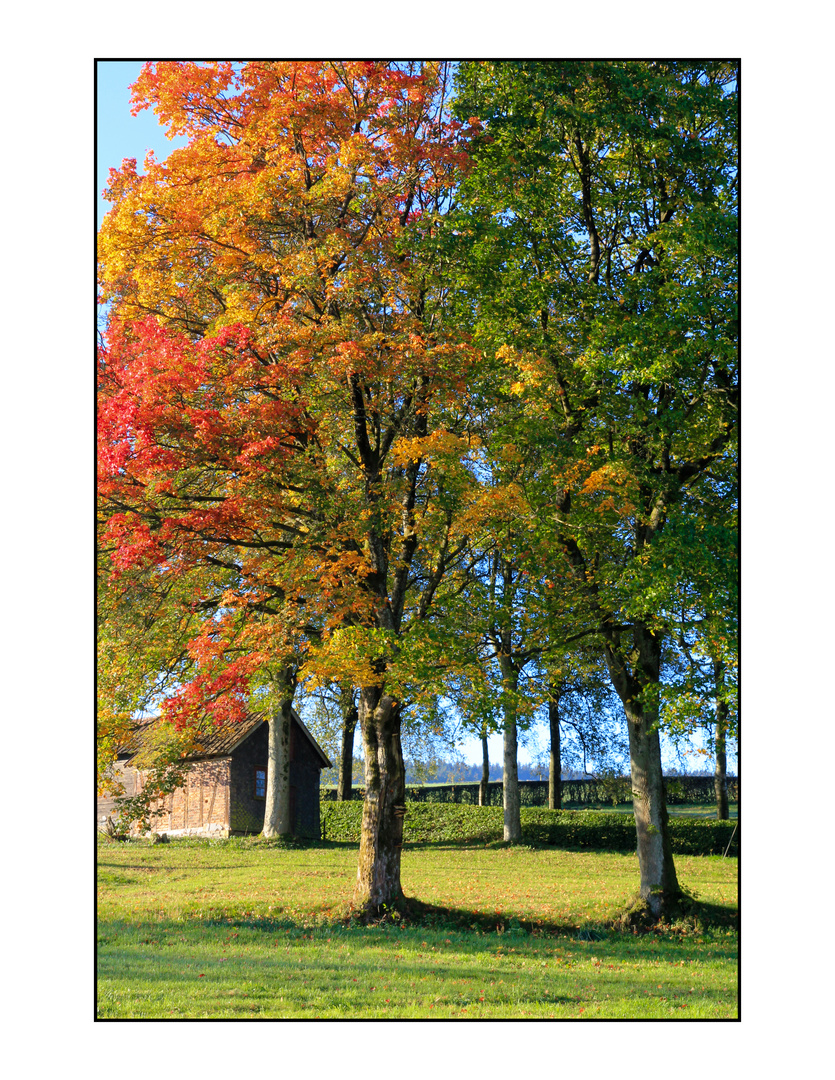 Herbst in Hemschlar