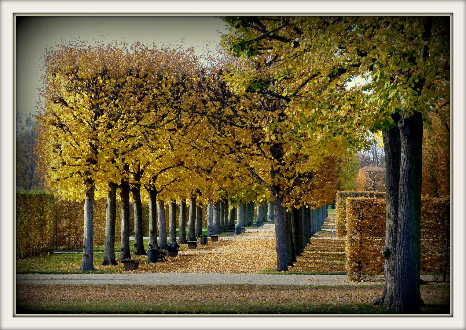 Herbst in Herrenhausen