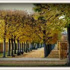 Herbst in Herrenhausen