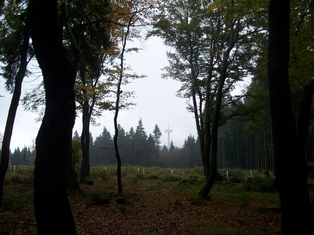 Herbst in Herscheid auf der nordhelle