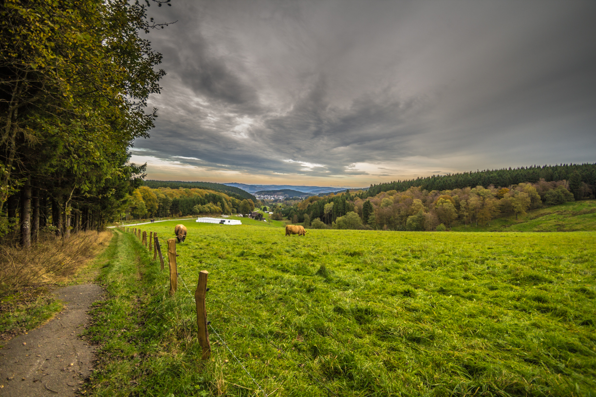 Herbst in Herscheid