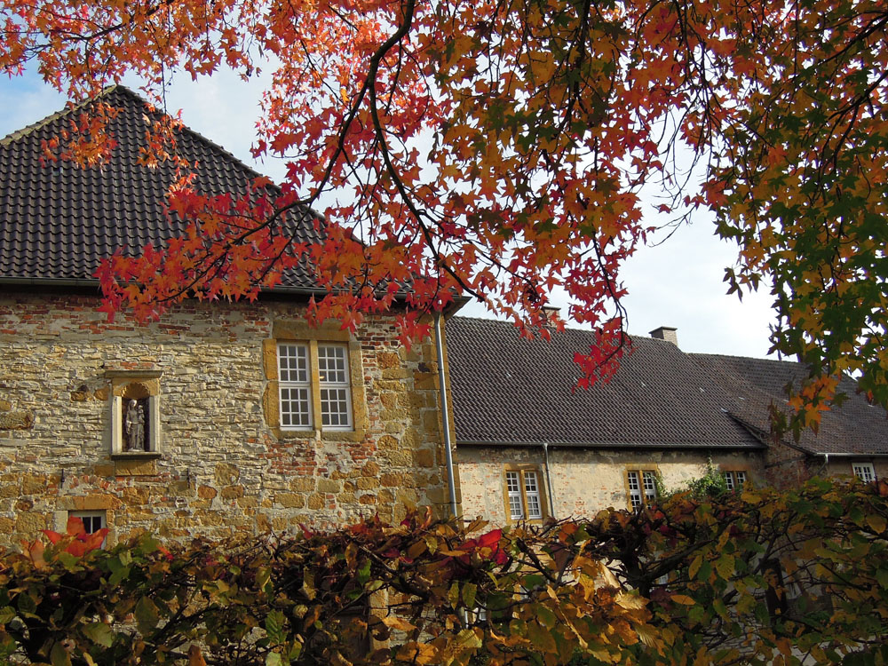 Herbst in Herzebrock