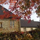 Herbst in Herzebrock