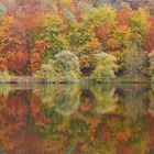 Herbst in Hessen