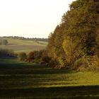 Herbst in Hessen