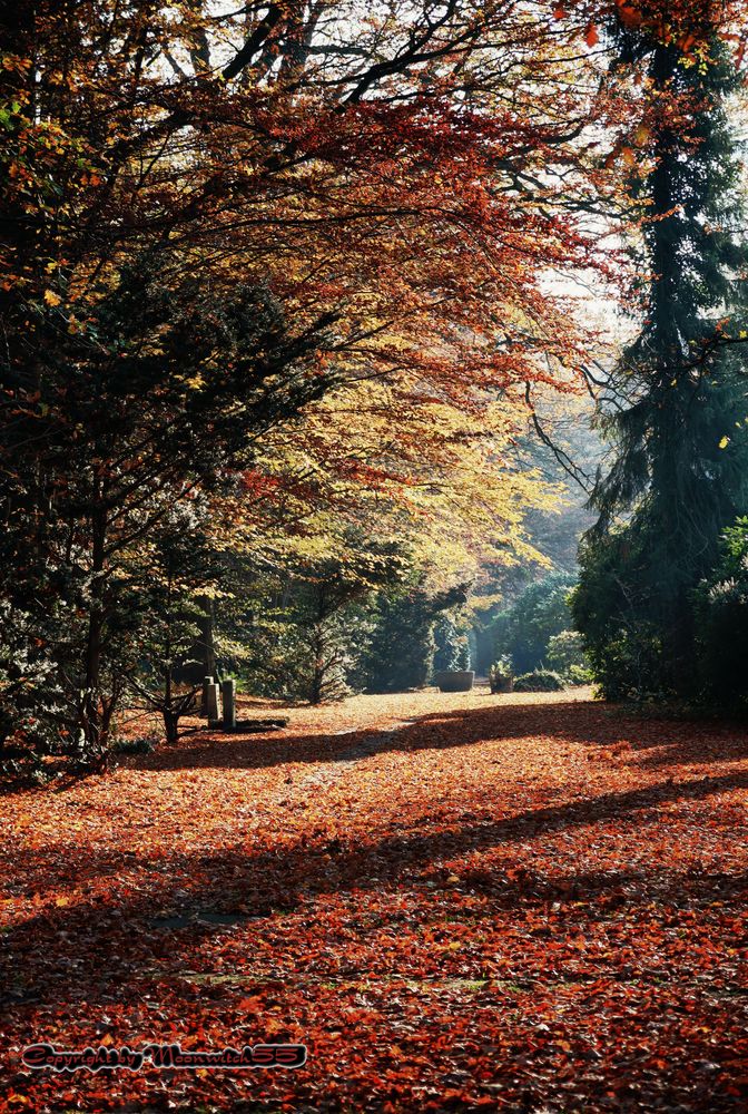 Herbst in HH